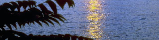 sunset_lake002006.jpg